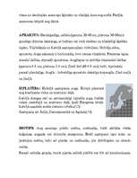 Referāts 'Meža vizbulis, šaurlapu lakacis, pundurbērzs', 5.