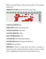Referāts 'Meža vizbulis, šaurlapu lakacis, pundurbērzs', 6.
