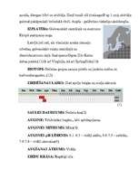 Referāts 'Meža vizbulis, šaurlapu lakacis, pundurbērzs', 9.