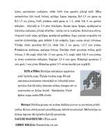 Referāts 'Meža vizbulis, šaurlapu lakacis, pundurbērzs', 13.