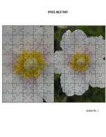 Referāts 'Meža vizbulis, šaurlapu lakacis, pundurbērzs', 17.