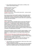 Prezentācija 'Tabaka', 13.