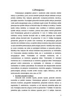 Referāts 'Eklampsija un preeklampsija', 4.