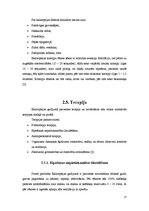 Referāts 'Eklampsija un preeklampsija', 17.