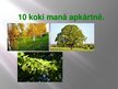 Prezentācija 'Desmit koki manā apkārtnē', 1.