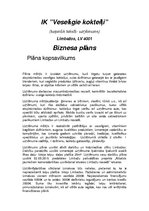 Eseja 'Biznesa plāna kopsavilkums', 1.