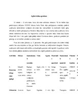 Referāts 'Rekreatīvu pasākumu plāna izstrāde 2018.gadam uzņēmumam "X", radošums un līderīb', 11.