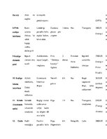 Referāts 'Rekreatīvu pasākumu plāna izstrāde 2018.gadam uzņēmumam "X", radošums un līderīb', 13.