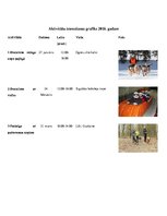 Referāts 'Rekreatīvu pasākumu plāna izstrāde 2018.gadam uzņēmumam "X", radošums un līderīb', 15.