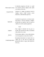 Referāts 'Rekreatīvu pasākumu plāna izstrāde 2018.gadam uzņēmumam "X", radošums un līderīb', 24.