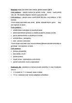 Referāts 'Ozolpils muižas rekonstrukcija un viesnīcas izveide', 12.