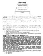 Konspekts 'Ekoloģijas eksāmens', 4.