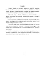 Referāts 'Inovācijas tūrismā', 3.