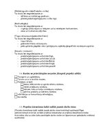 Konspekts 'Biznesa koncepta plāna paraugs', 3.