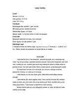 Referāts 'Lielās šinšillas', 1.