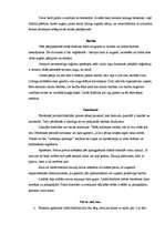 Referāts 'Lielās šinšillas', 2.