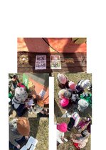 Konspekts 'Integrēta nodarbība 6-7 gadi, Putni pavasarī', 4.