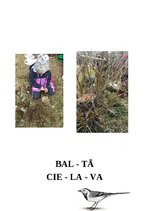 Konspekts 'Integrēta nodarbība 6-7 gadi, Putni pavasarī', 5.