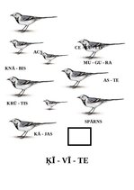 Konspekts 'Integrēta nodarbība 6-7 gadi, Putni pavasarī', 6.