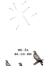 Konspekts 'Integrēta nodarbība 6-7 gadi, Putni pavasarī', 7.