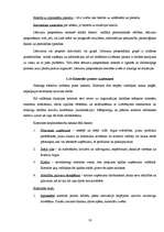 Referāts 'Ražošanas prakses atskaite', 16.