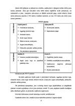 Referāts 'Ražošanas prakses atskaite', 19.