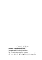 Referāts 'Ražošanas prakses atskaite', 21.