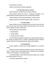 Referāts 'Ražošanas prakses atskaite', 22.