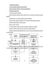 Referāts 'Ražošanas prakses atskaite', 24.