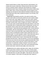 Konspekts 'Krāsu nozīme', 2.