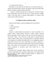 Prakses atskaite 'Finanšu grāmatvedība', 9.