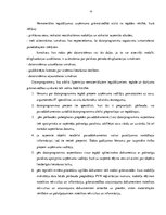 Prakses atskaite 'Finanšu grāmatvedība', 16.