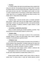 Referāts 'Konflikti, to veidi', 12.