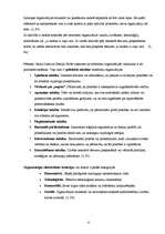 Konspekts 'Līderisms', 4.