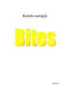 Konspekts 'Bites', 1.