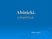 Prezentācija 'Abinieki', 1.
