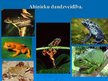 Prezentācija 'Abinieki', 9.