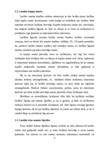 Referāts 'Laulāto mantisko attiecību problēmas teorijā un praksē', 19.