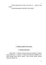 Diplomdarbs 'Patēriņa kredīts ekonomikā', 5.