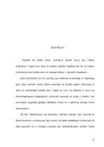 Referāts 'Indijas iedzīvotāji', 17.