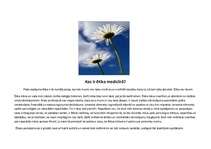 Referāts 'Dubultefekta princips: eitanāzijas, pašnāvības un abortu problēmas', 6.