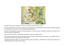 Referāts 'Dubultefekta princips: eitanāzijas, pašnāvības un abortu problēmas', 15.