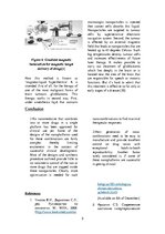 Konspekts 'Magnetic Nanoparticle Hyperthermia in Cancer Treatment', 5.