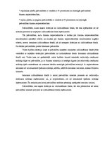 Eseja 'Pašvaldības budžeta veidošana', 8.