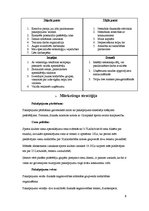 Biznesa plāns 'Biznesa plāns "Outdoor Gym"', 8.