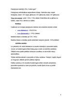 Biznesa plāns 'Biznesa plāns "Outdoor Gym"', 9.