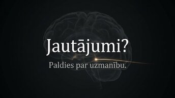 Prezentācija 'Nervu sistēmas strukturāli funkcionālā organizācija: varolija tilts', 15.