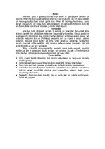 Konspekts 'Āpsis', 8.
