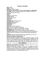 Konspekts 'Āpsis', 9.