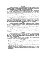 Konspekts 'Āpsis', 10.